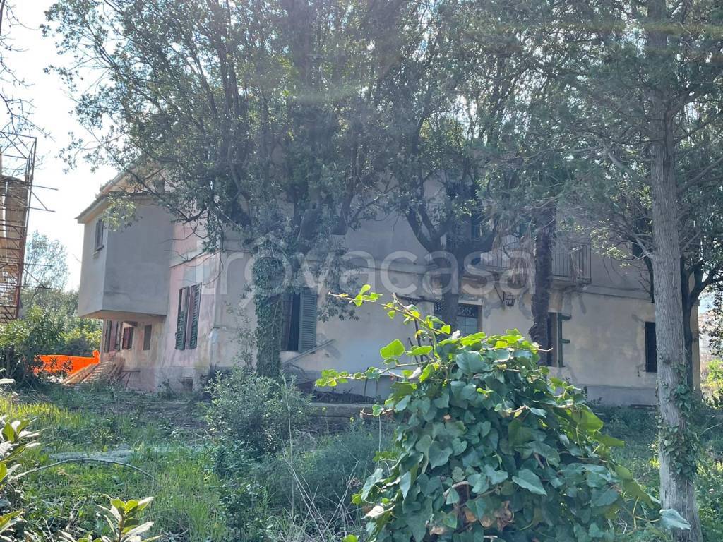 immagine annuncio 8 di 12