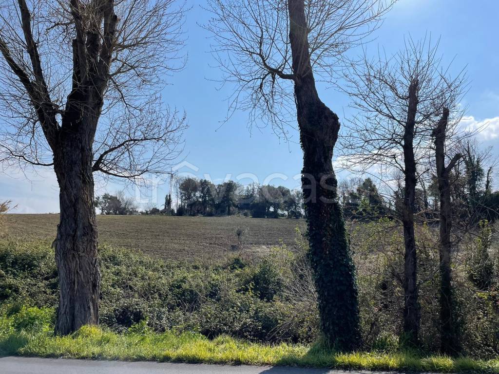 immagine annuncio 10 di 12