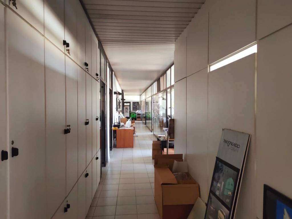 immagine annuncio 1 di 12