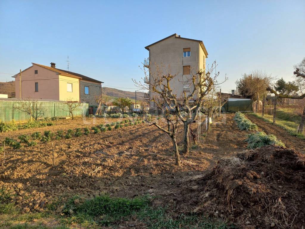 immagine annuncio 2 di 3