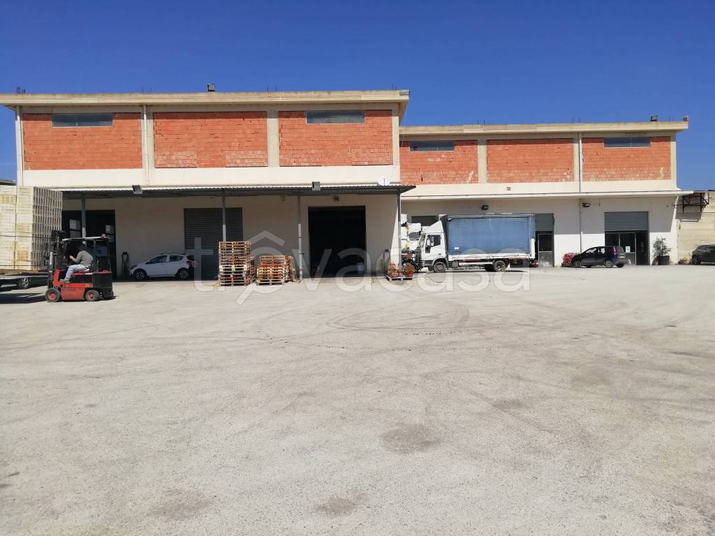 immagine annuncio 2 di 6