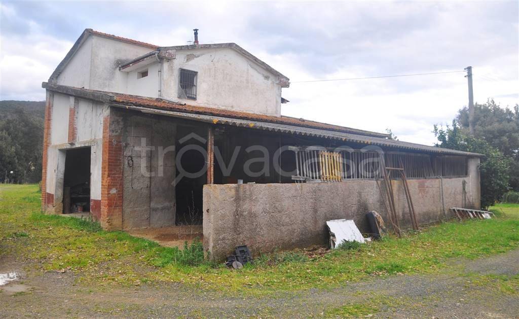 Azienda Agricola in vendita a Montecatini Val di Cecina strada Provinciale dei quattro Comuni