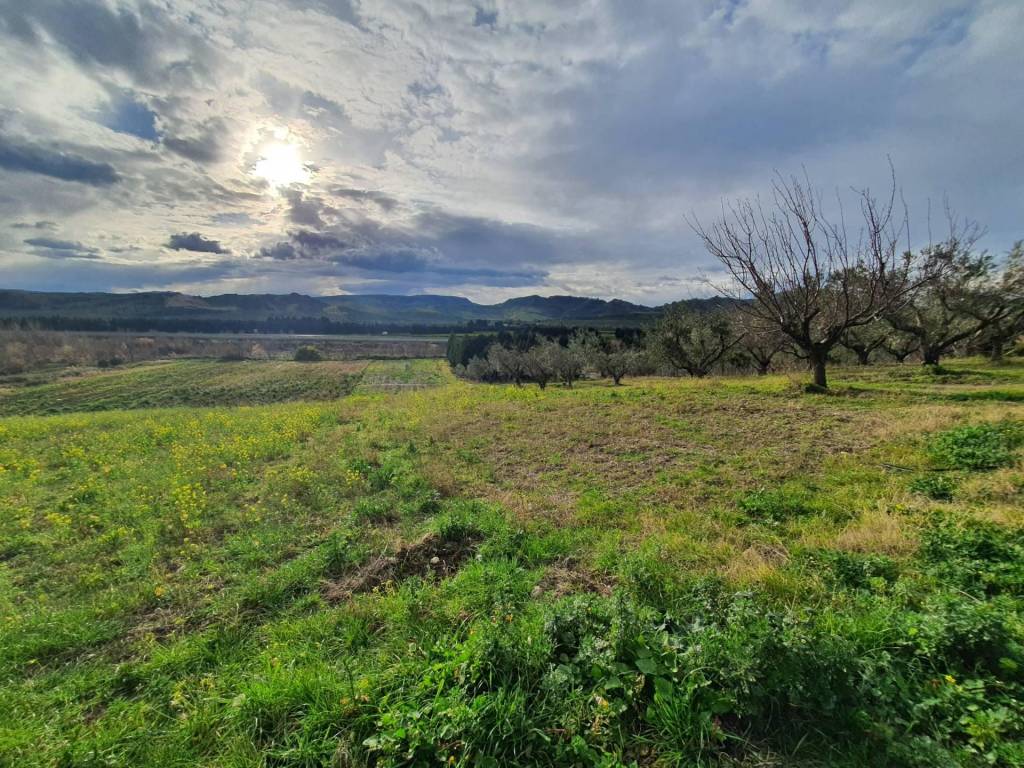 Terreno Agricolo in vendita a Catanzaro viale Europa, snc