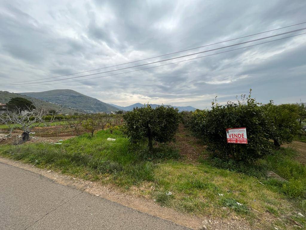 Terreno Agricolo in vendita a Fondi via Fosso di Lenola