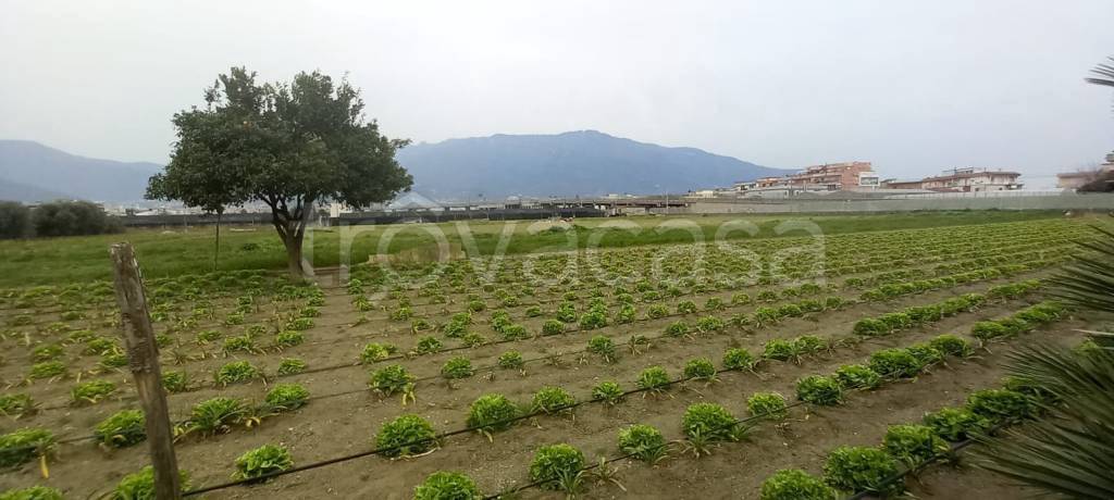 Terreno Agricolo in vendita a Castellammare di Stabia via Vecchia Fontanelle