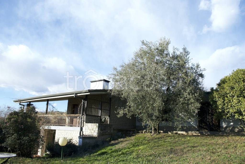immagine annuncio 4 di 6