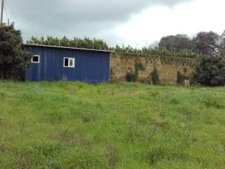 Terreno agricolo in affitto a quarto via altiero spinelli