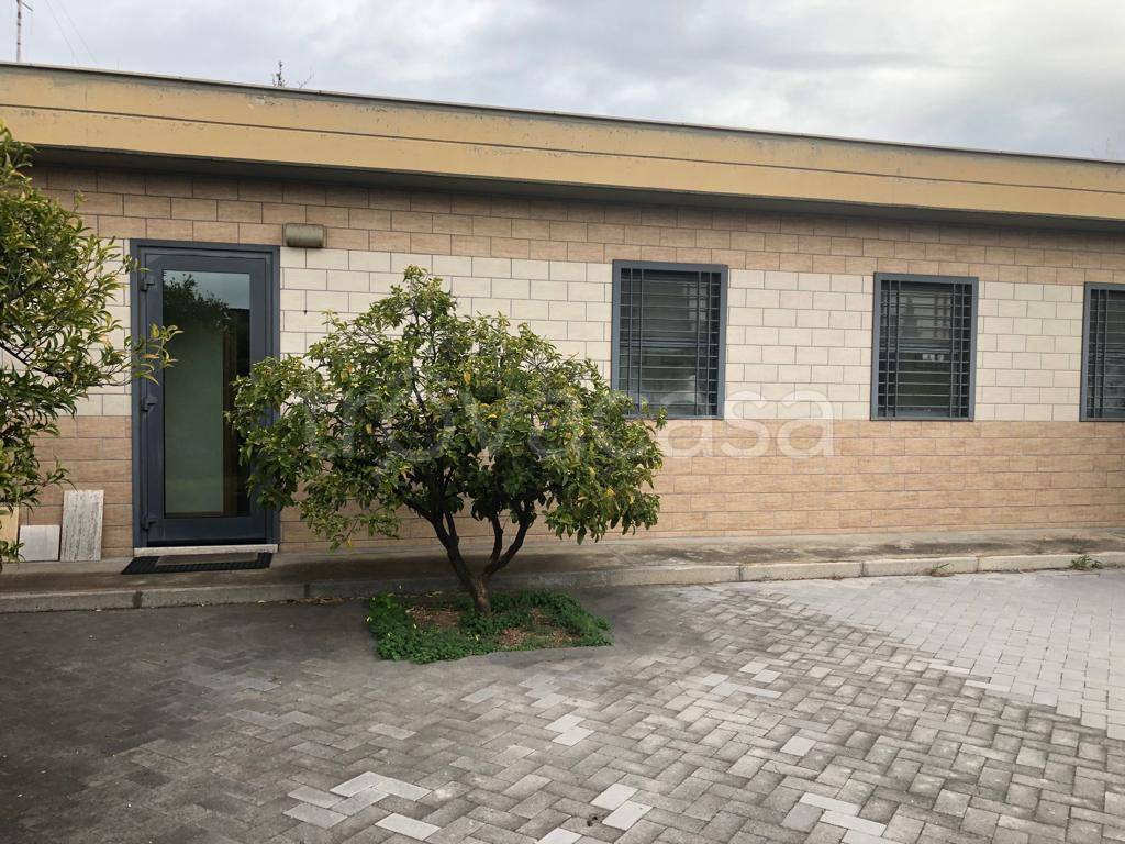 immagine annuncio 1 di 9