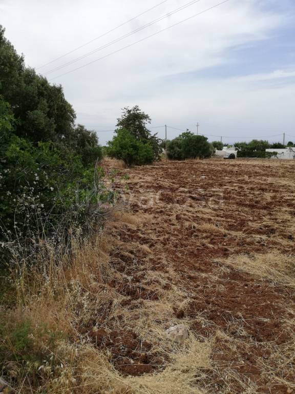 Terreno Agricolo in vendita a Polignano a Mare strada Comunale Santa Candida