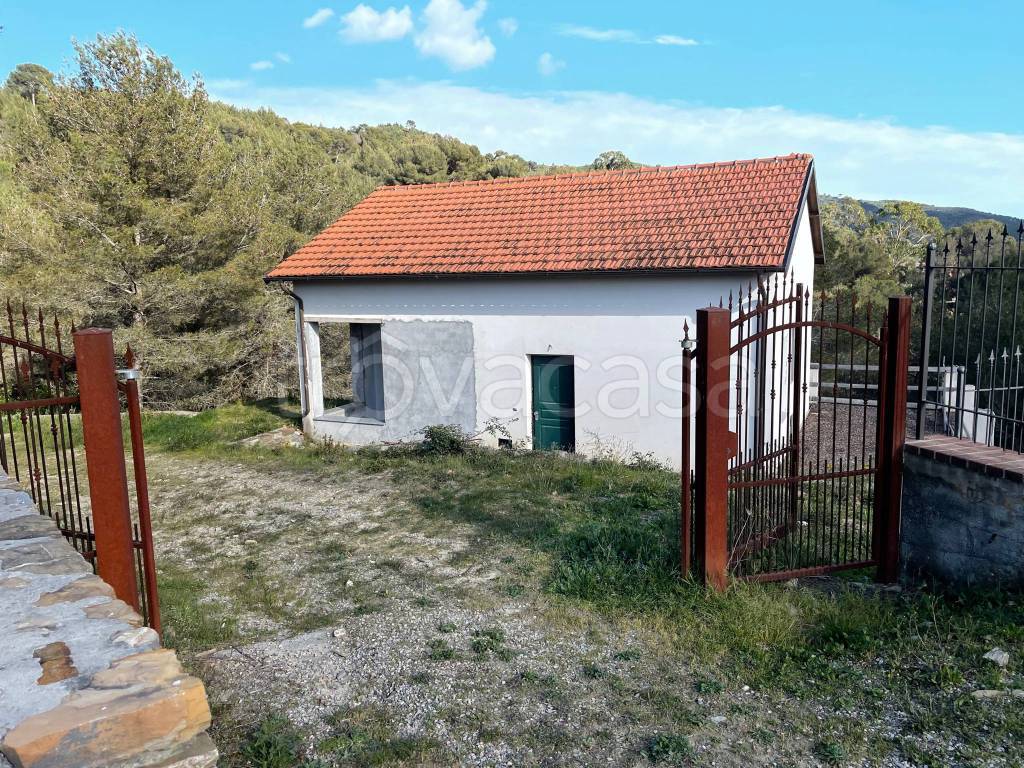 immagine annuncio 4 di 14