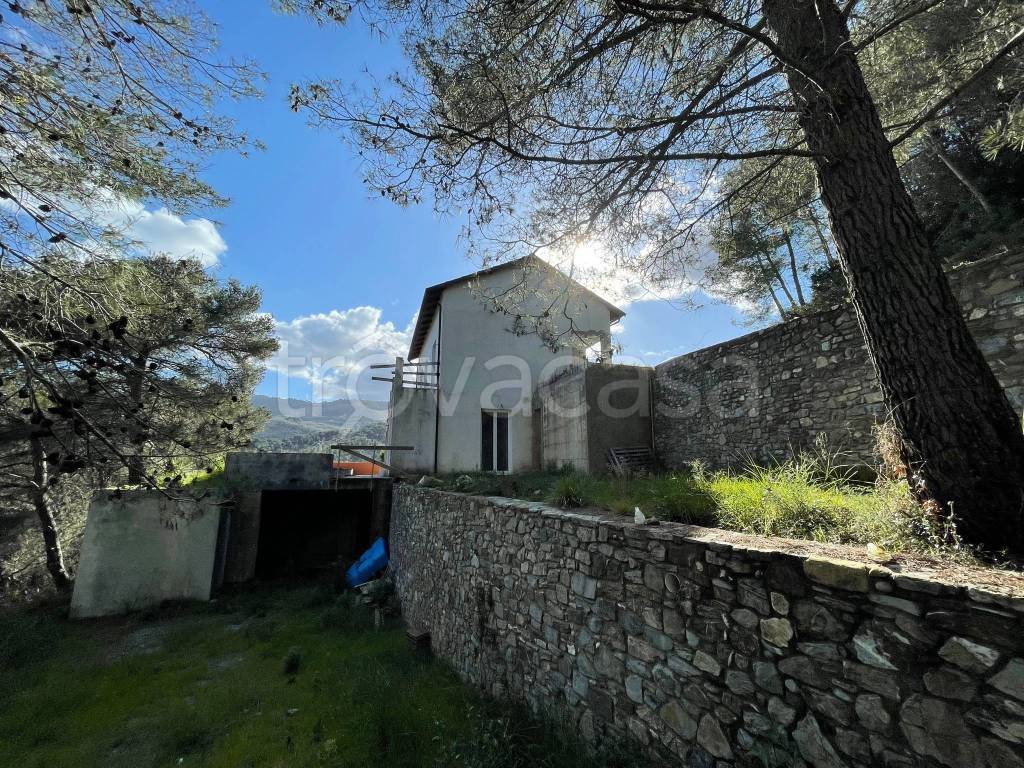 immagine annuncio 11 di 14