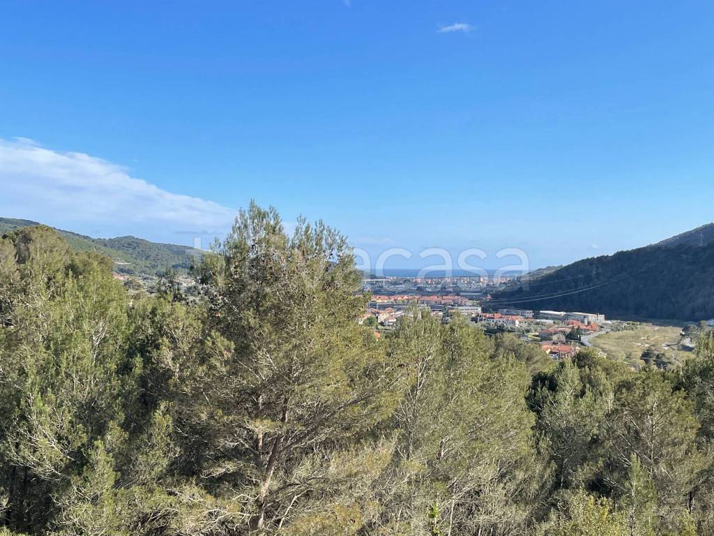 immagine annuncio 12 di 14