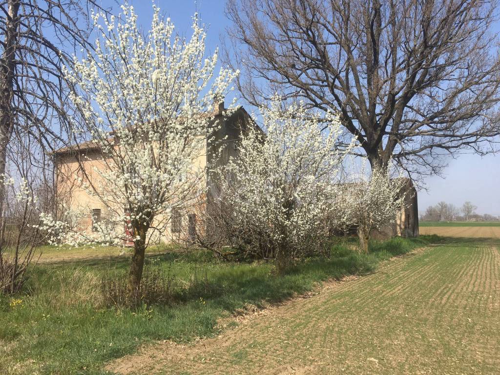 immagine annuncio 1 di 8