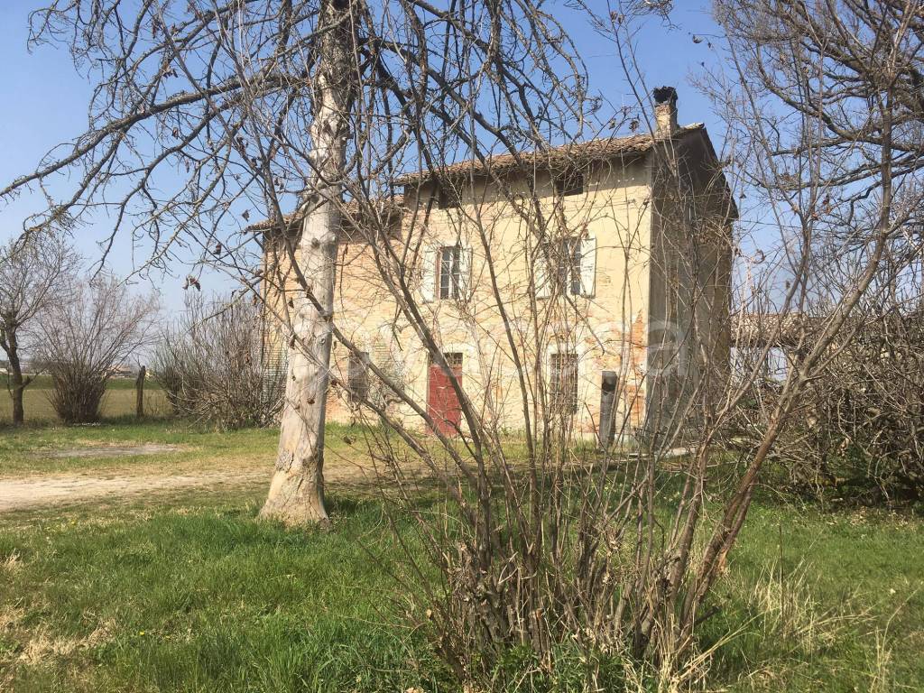 immagine annuncio 2 di 8