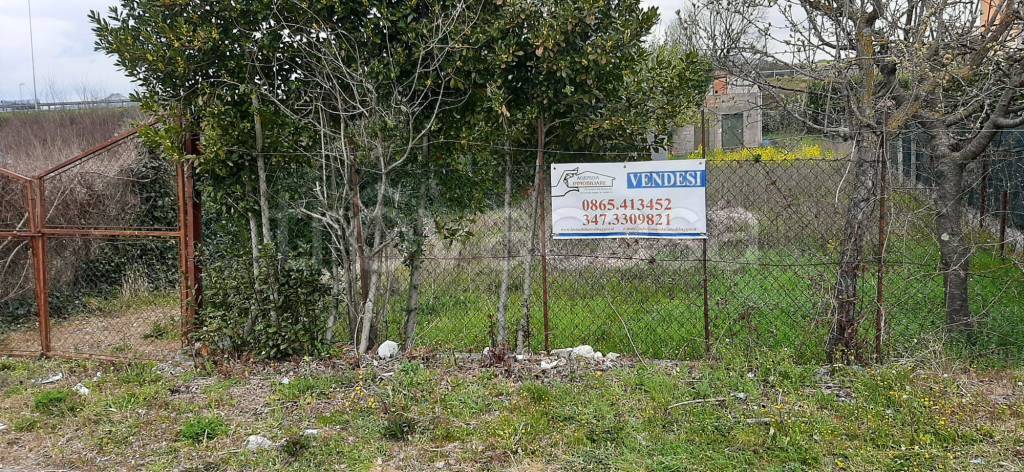 immagine annuncio 1 di 8