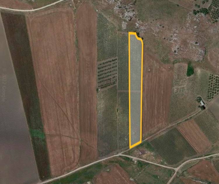 Terreno Agricolo in vendita a Camporeale via Daidone, 15