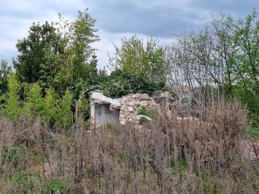 immagine annuncio 5 di 7