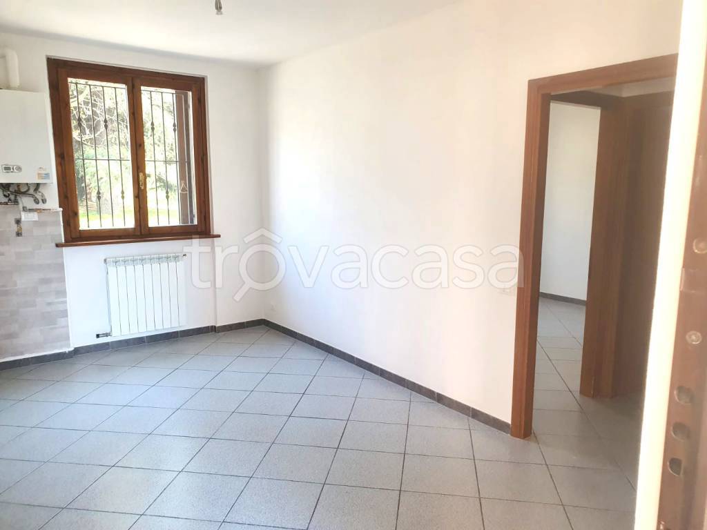 immagine annuncio 1 di 8