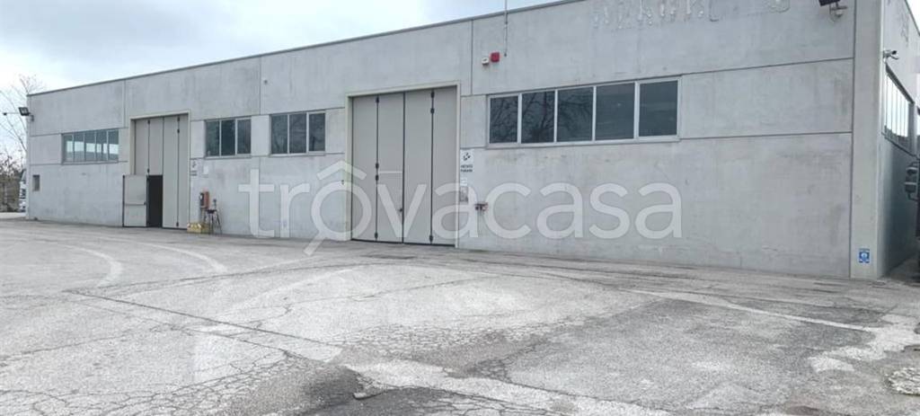 Capannone Industriale in in vendita da privato a Treviso via Castellana, 2