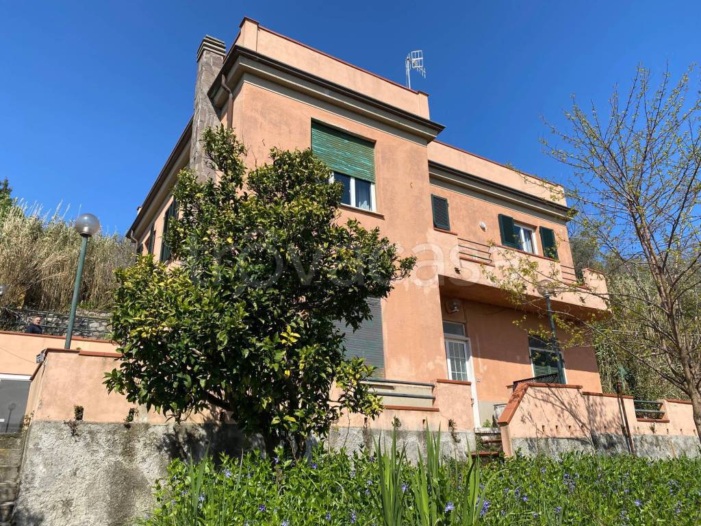 Villa Bifamiliare in vendita a Lerici località Maggiola, 1
