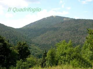 Terreno agricolo in vendita a sesto fiorentino via di starniano