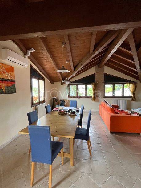 immagine annuncio 5 di 14