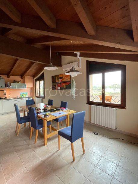 immagine annuncio 6 di 14