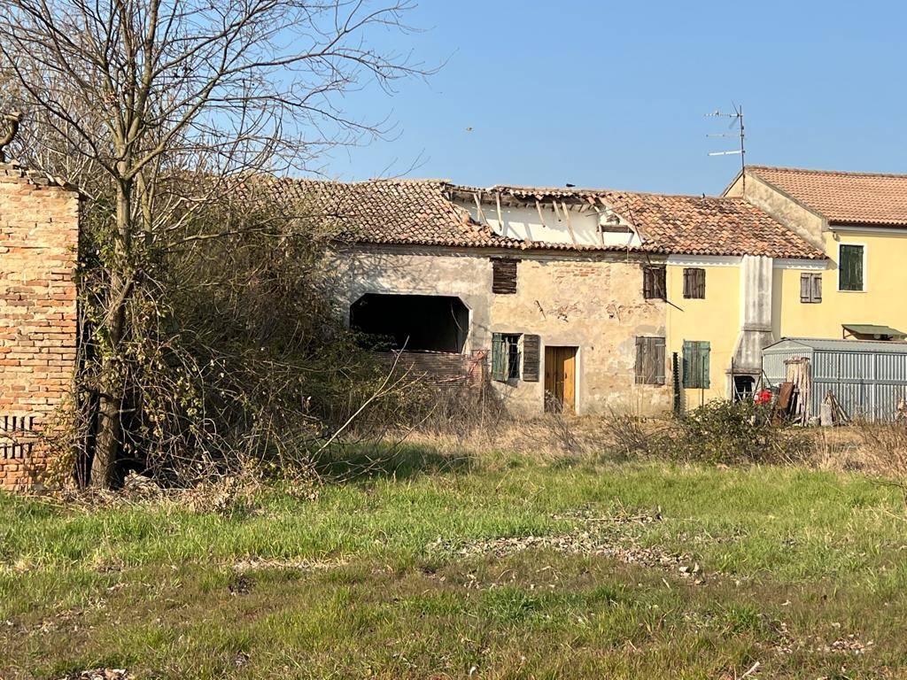 immagine annuncio 1 di 8