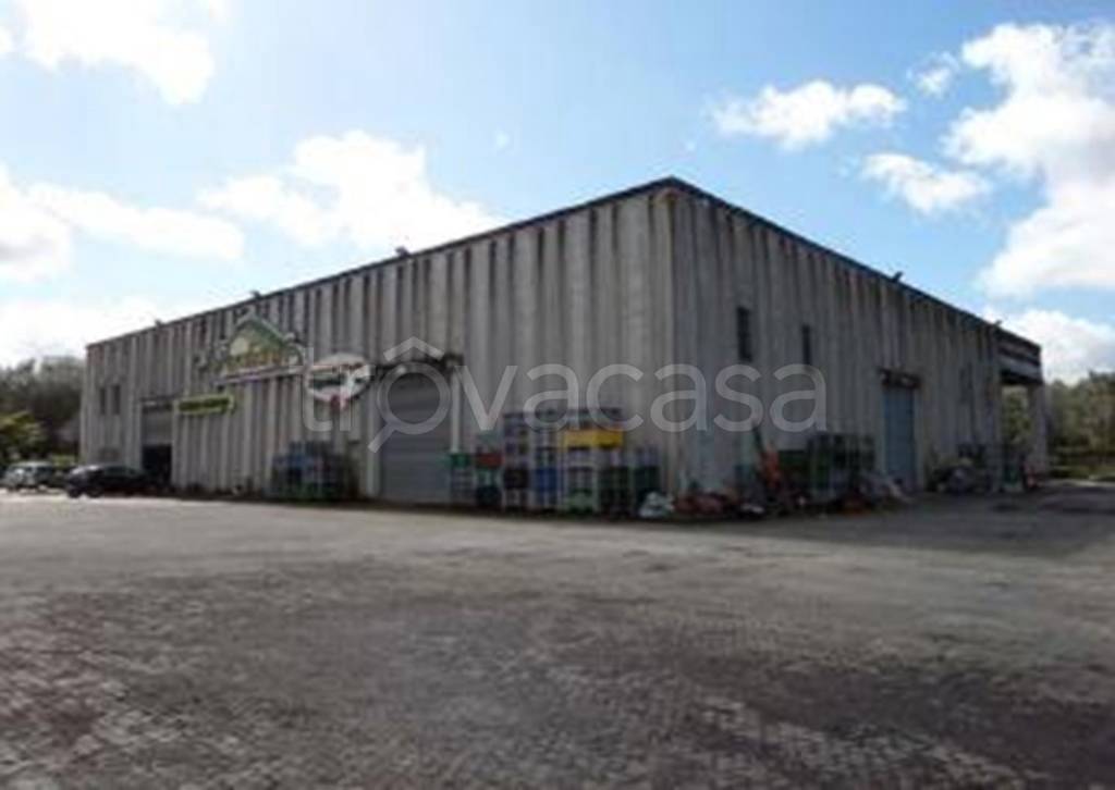 Capannone Industriale in vendita a Cittanova strada Provinciale 1 di Gioia Tauro ,5
