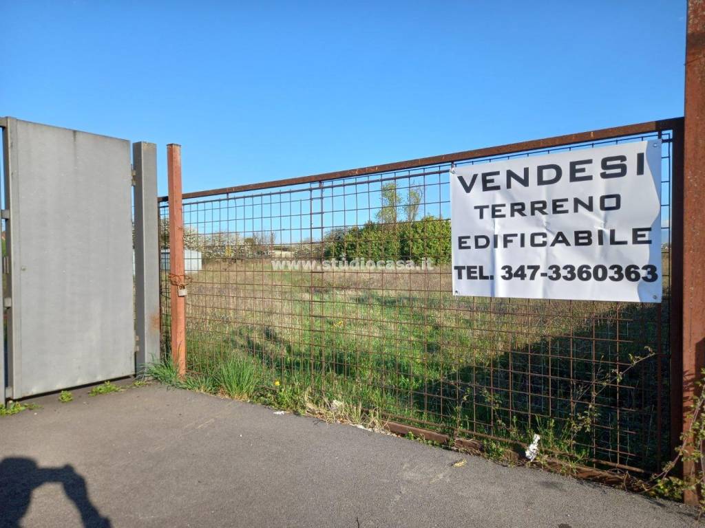 immagine annuncio 3 di 12