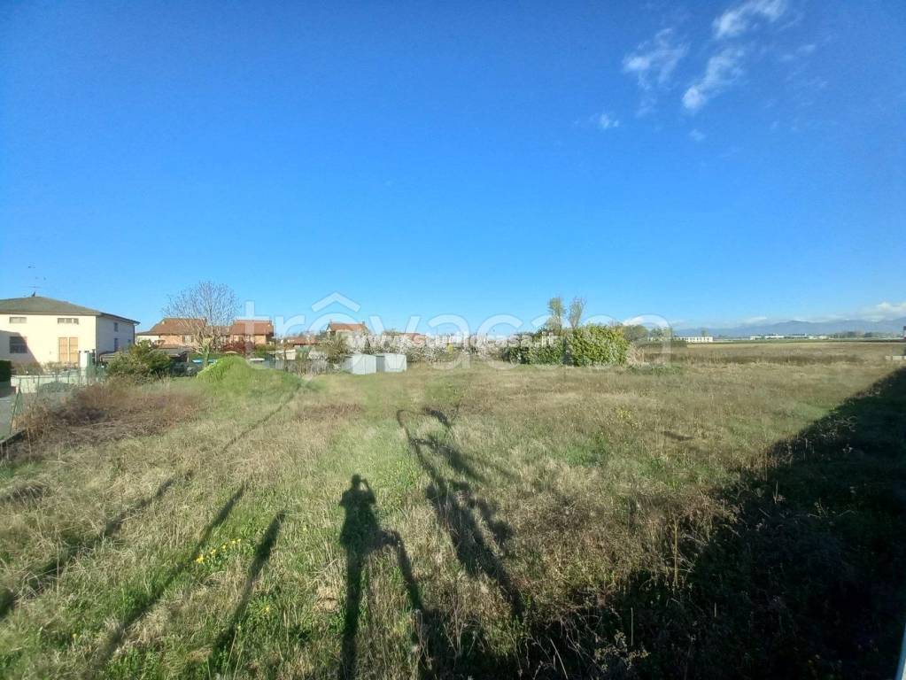 immagine annuncio 5 di 12