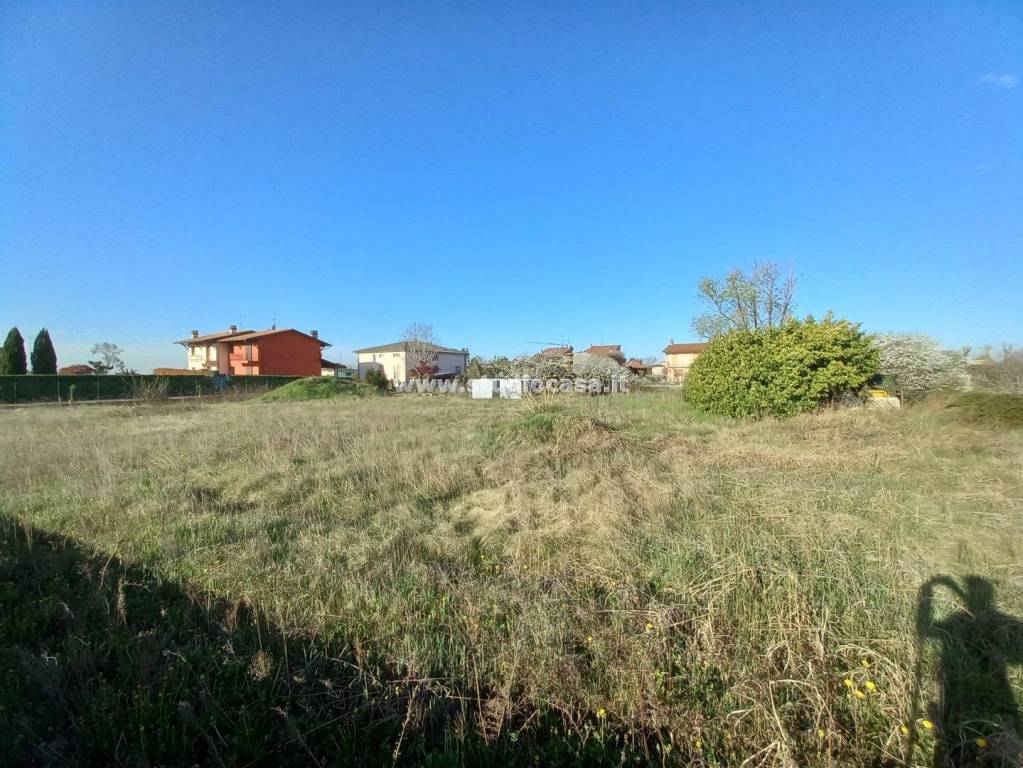 immagine annuncio 9 di 12