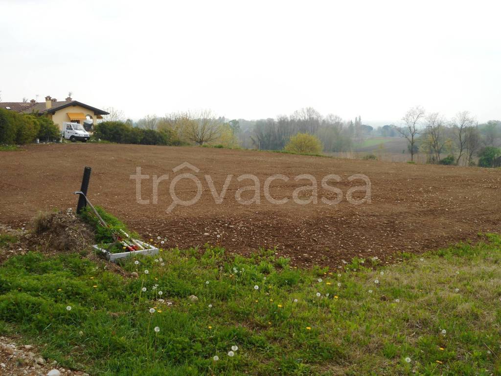 immagine annuncio 1 di 4