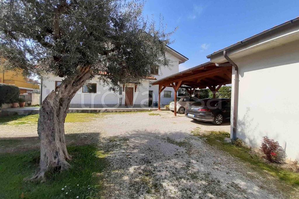 Villa in in vendita da privato a Cepagatti via Ventignano