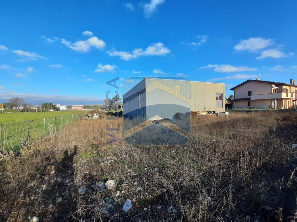 immagine annuncio 5 di 11