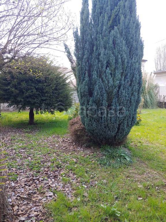 immagine annuncio 6 di 7