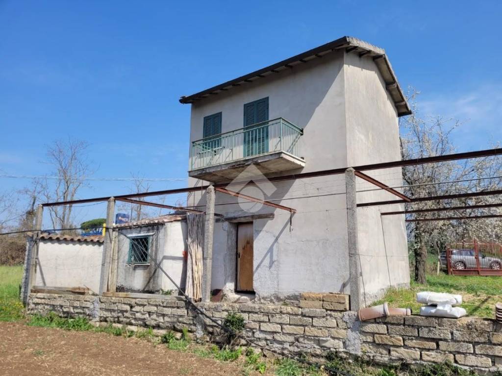 immagine annuncio 3 di 11