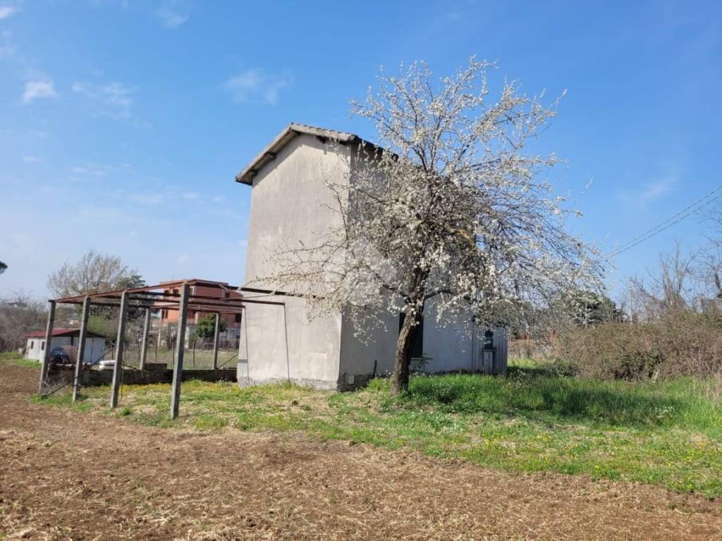 immagine annuncio 1 di 11