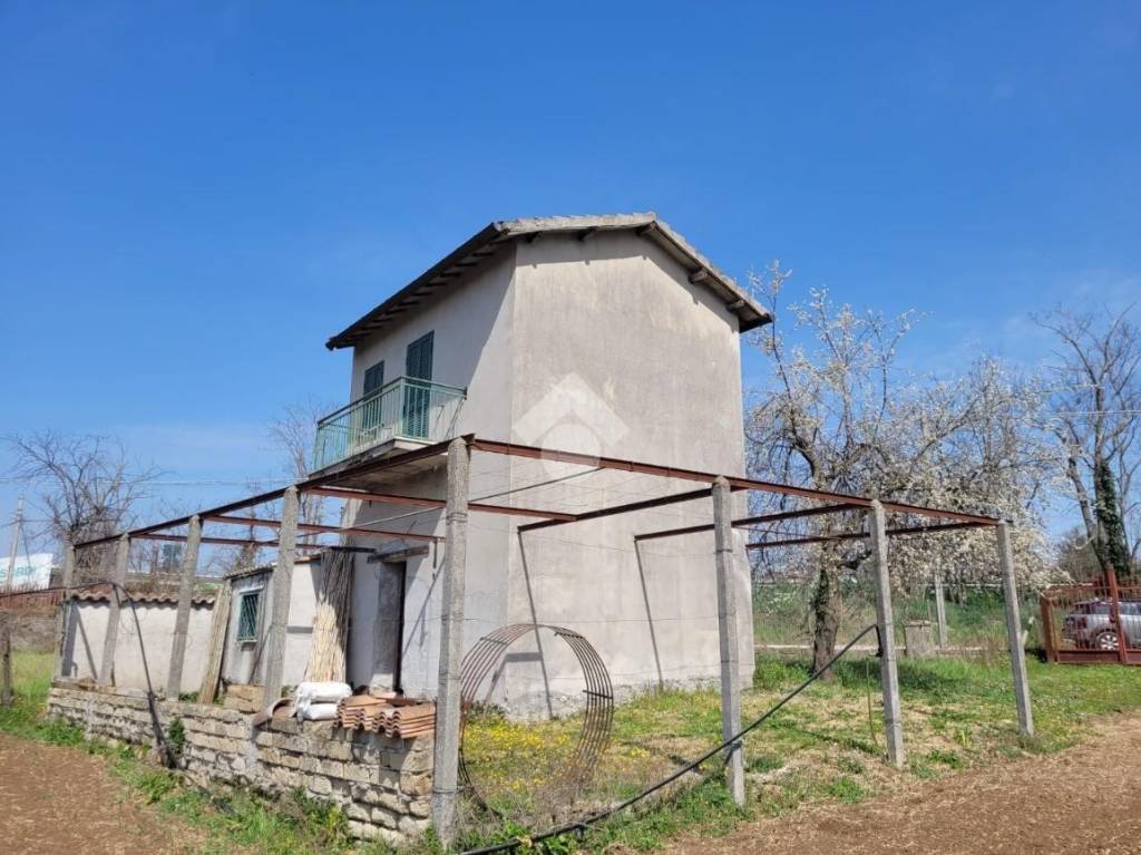 immagine annuncio 4 di 11