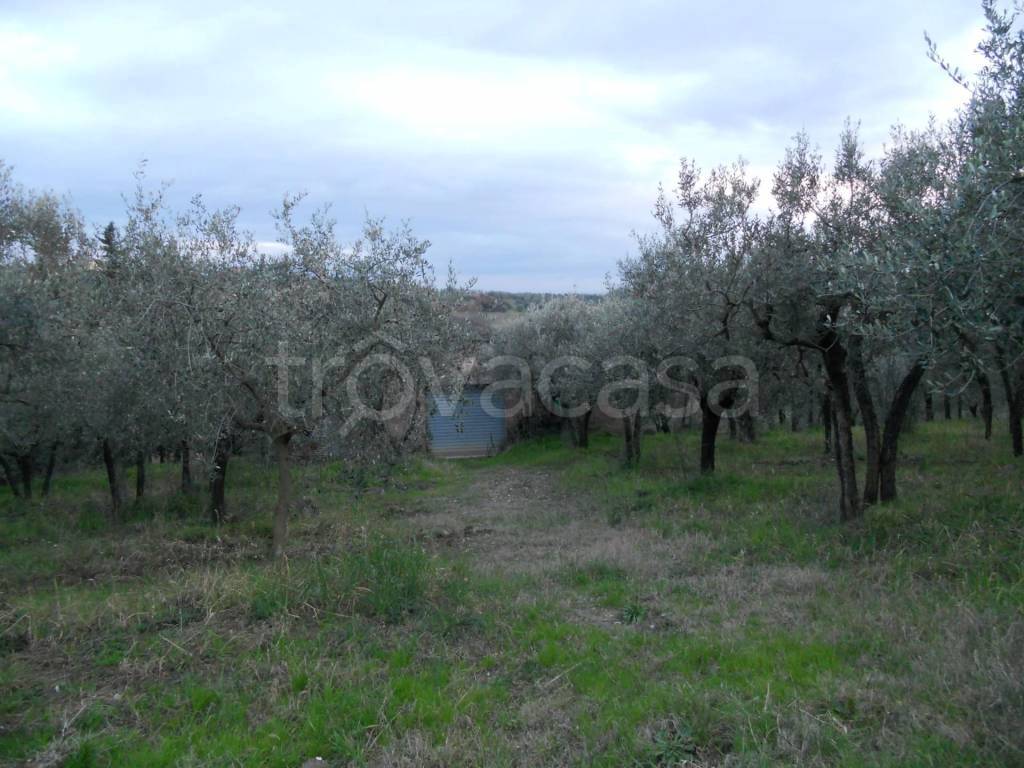 immagine annuncio 2 di 3