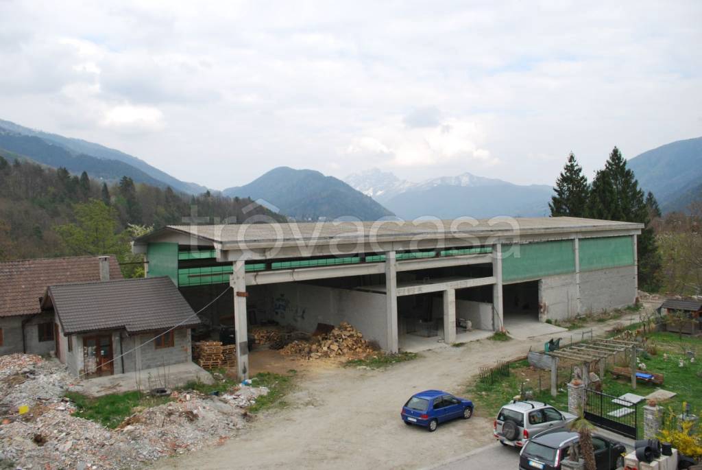 immagine annuncio 4 di 14