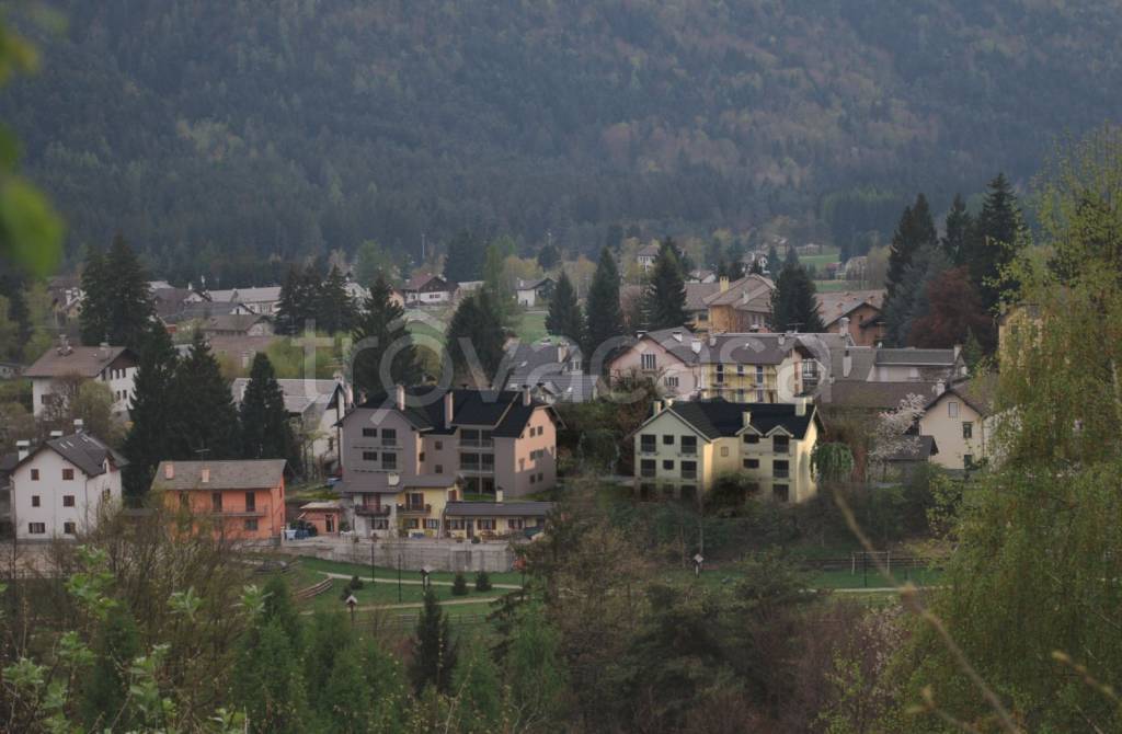 immagine annuncio 5 di 14