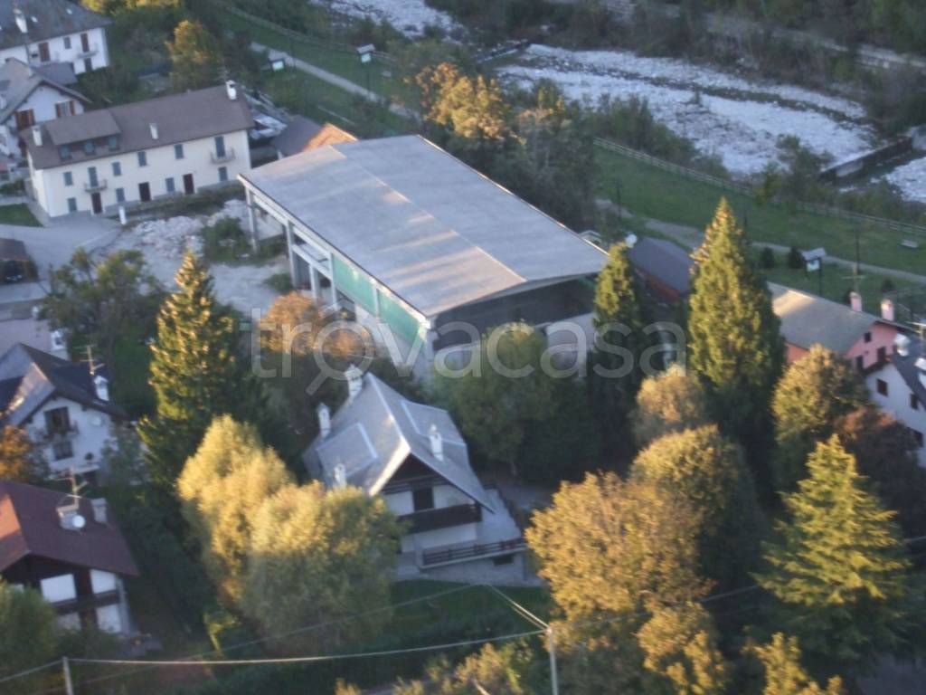 immagine annuncio 12 di 14