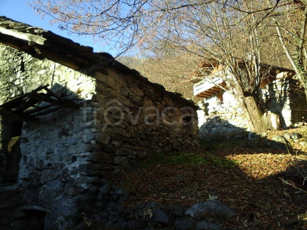 immagine annuncio 5 di 9