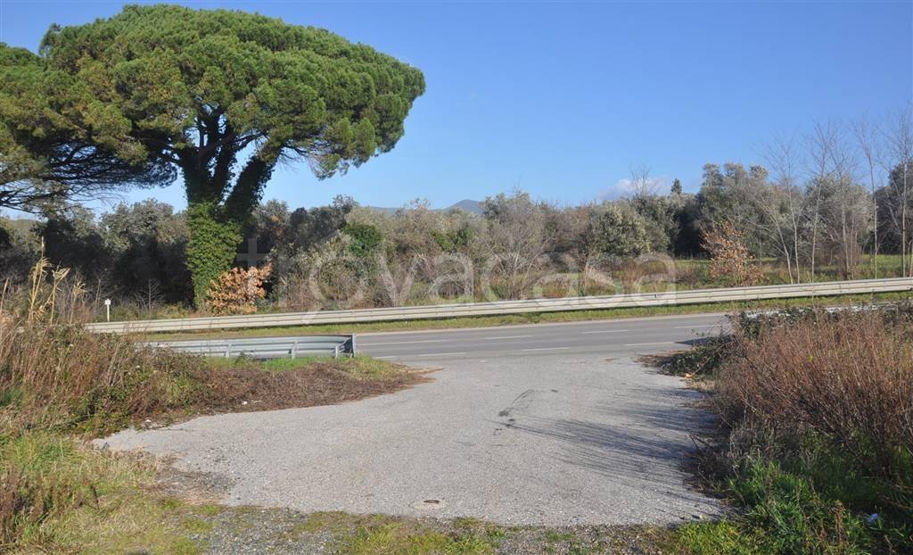 Terreno Residenziale in vendita a Rosignano Marittimo s.r. 206