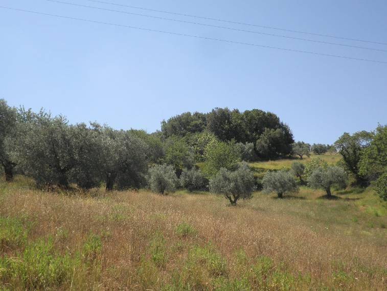 immagine annuncio 10 di 14