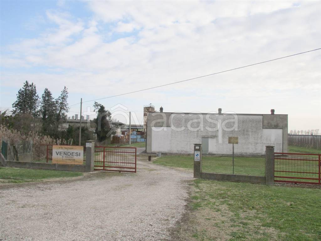 immagine annuncio 3 di 8