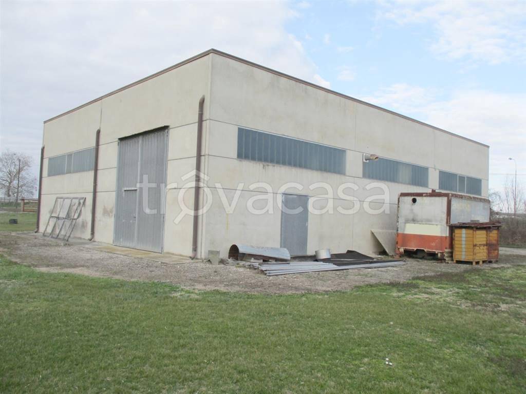 immagine annuncio 4 di 8