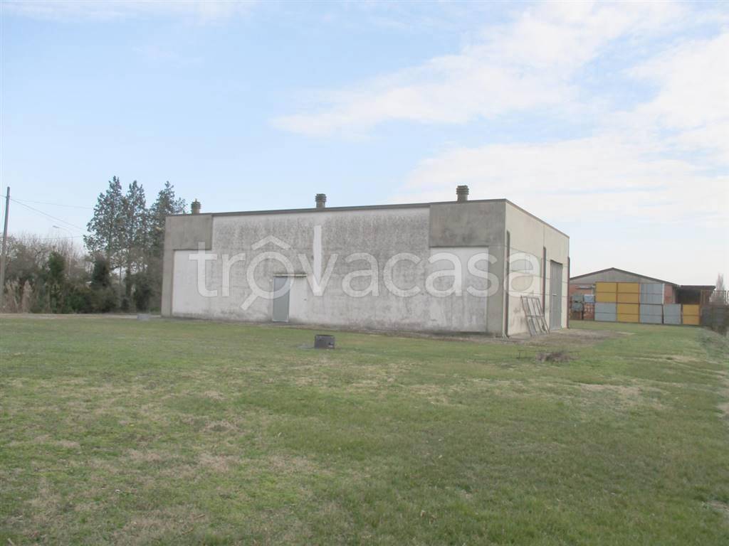 immagine annuncio 5 di 8