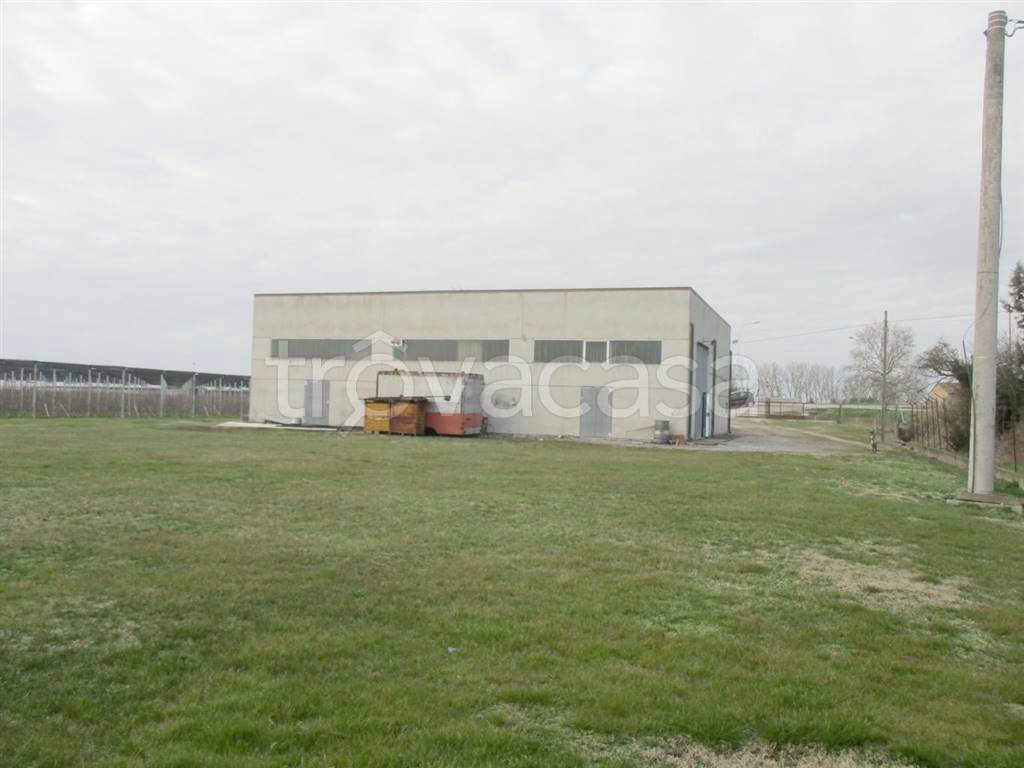 immagine annuncio 6 di 8